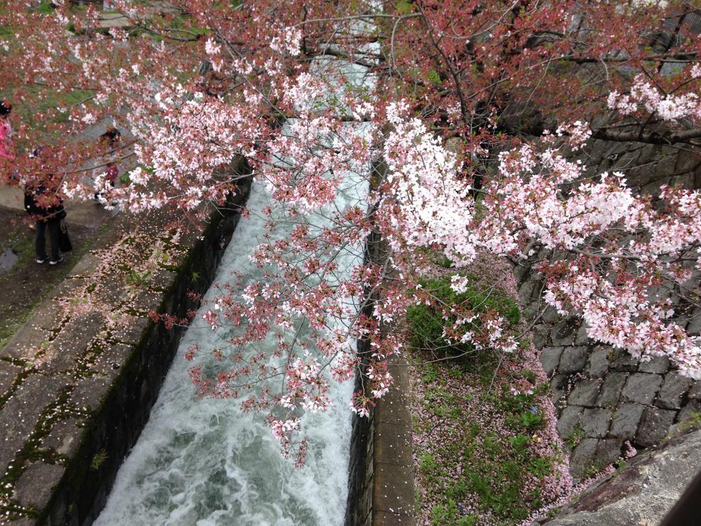 Yunokian Villa Kyoto Ngoại thất bức ảnh
